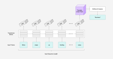 Text classification using the Llama model